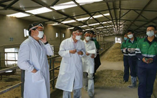 種鴨養(yǎng)殖（損失）查勘現(xiàn)場(chǎng)