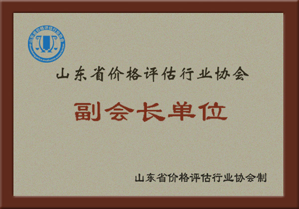 山東省價格評估行業(yè)協(xié)會副會長單位